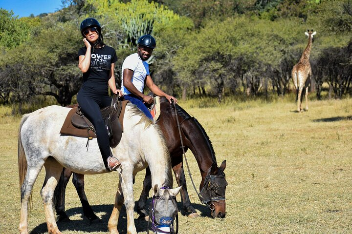 2-Hour Horseback Safari in Hartbeespoort - Photo 1 of 6